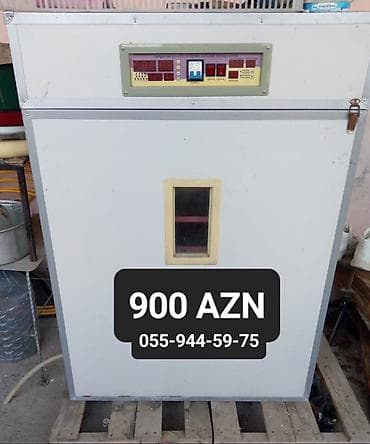 1100 yumurta, Azərbaycan, Bütün növ quşlaq üçün lalafo.az -da 1100 yumurta, Azərbaycan, Bütün növ quşlaq üçün