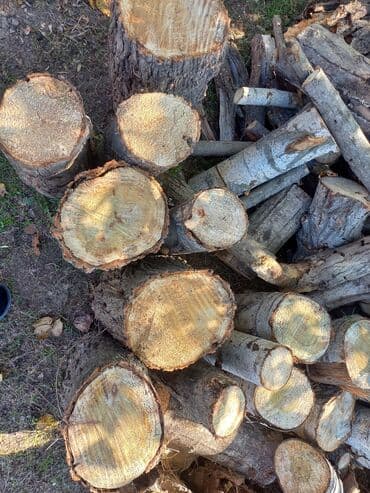 Ağdamda yerləşir,boş bekar adamlar zəng etməsin qəti.İstəyən olsa zəng lalafo.az -da Ağdamda yerləşir,boş bekar adamlar zəng etməsin qəti.İstəyən olsa zəng