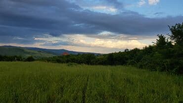 277 sot, Kənd təsərrüfatı, Mülkiyyətçi, Kupça (Çıxarış) lalafo.az -da 277 sot, Kənd təsərrüfatı, Mülkiyyətçi, Kupça (Çıxarış)