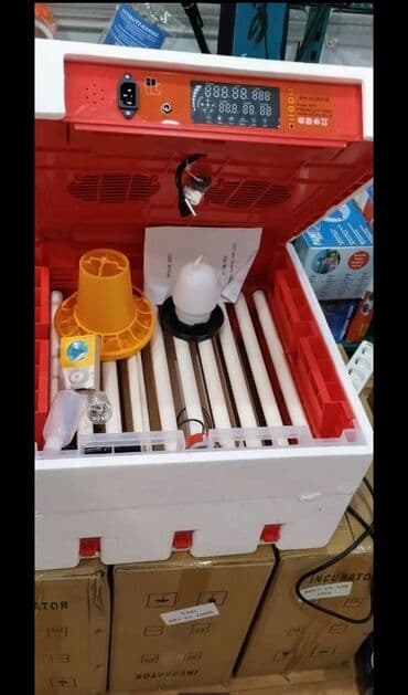 Экстракторы масла: 100 яиц, Китай, Полностью автоматическая, Для всех видов птиц, С гарантией at lalafo.az — 4 Экстракторы масла: 100 яиц, Китай, Полностью автоматическая, Для всех видов птиц, С гарантией — 4