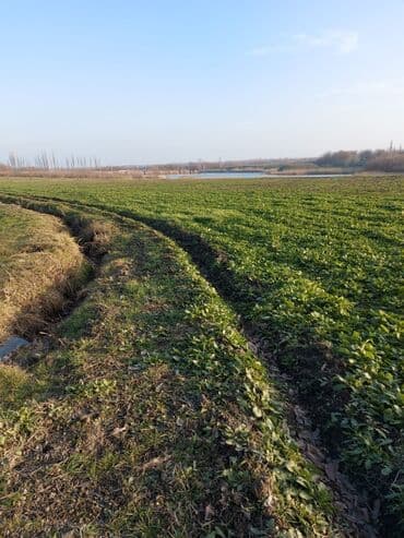 109 sot, Mülkiyyətçi, Kupça (Çıxarış) lalafo.az -da 109 sot, Mülkiyyətçi, Kupça (Çıxarış)