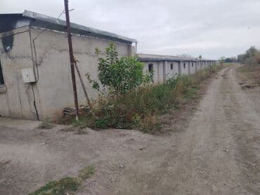 Ferma təsərrüfatı üçün hazır obyekt - Geniş torpaq sahəsi və açıq lalafo.az -da — 5 Ferma təsərrüfatı üçün hazır obyekt - Geniş torpaq sahəsi və açıq — 5