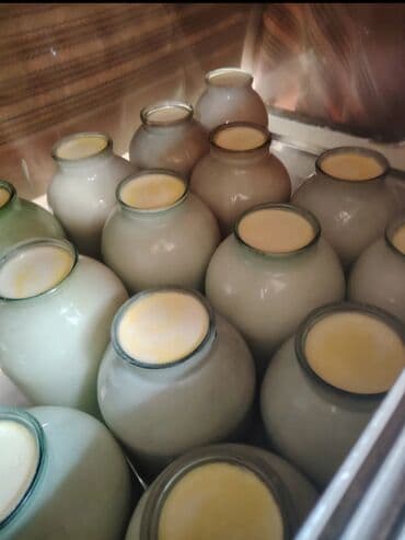 Yaxşı Quba qatıqı süd yaq kent yumurtası var Bakya çatdırma var lalafo.az -da Yaxşı Quba qatıqı süd yaq kent yumurtası var Bakya çatdırma var