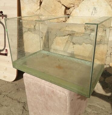 Dördbucaq akvarium, Boş, 73 l, Ünvandan götürmə, Ödənişli çatdırılma lalafo.az -da Dördbucaq akvarium, Boş, 73 l, Ünvandan götürmə, Ödənişli çatdırılma