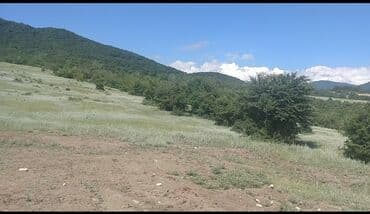 270 sot, Kənd təsərrüfatı, Mülkiyyətçi, Kupça (Çıxarış) lalafo.az -da 270 sot, Kənd təsərrüfatı, Mülkiyyətçi, Kupça (Çıxarış)