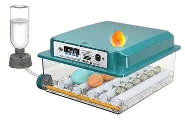Avtomatik yumurta inkubatoru - Rəqəmsal idarə paneli: LED displeydə lalafo.az -da Avtomatik yumurta inkubatoru - Rəqəmsal idarə paneli: LED displeydə