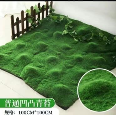 Bitki dərmanları: Məhsul: Təbiətvi̇ zolaqlı yosun/mahov örtüyü – hazır plitələr Təsvir lalafo.az -da — 13 Bitki dərmanları: Məhsul: Təbiətvi̇ zolaqlı yosun/mahov örtüyü – hazır plitələr Təsvir — 13