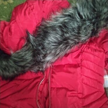 Palto, L, rəng - Qırmızı lalafo.az -da Palto, L, rəng - Qırmızı