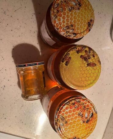 Полуфабрикаты: 🍯 Zaqatala Cökə dağ balı – 100% təbii, qatqısız! Arı pətəyindən at lalafo.az — 7 Полуфабрикаты: 🍯 Zaqatala Cökə dağ balı – 100% təbii, qatqısız! Arı pətəyindən — 7