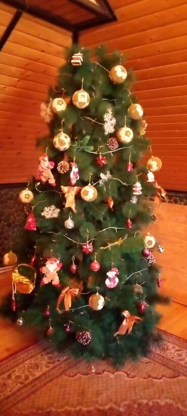 2,80 metr yolka, oyuncaqsiz satilir, eve boyukdur deye lap baş hisseni lalafo.az -da 2,80 metr yolka, oyuncaqsiz satilir, eve boyukdur deye lap baş hisseni