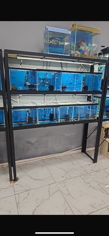 Stellaj satilir 8 eded 4luk suseden hazirlanmis - 30*35 olculu lalafo.az -da Stellaj satilir 8 eded 4luk suseden hazirlanmis - 30*35 olculu