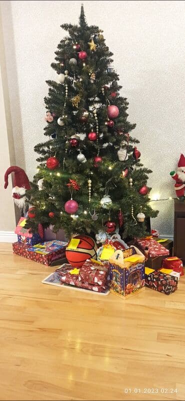 Süni Yeni il şam ağacı - Hündürlük: 185 sm (şəkillərdə ölçü mənzildə lalafo.az -da Süni Yeni il şam ağacı - Hündürlük: 185 sm (şəkillərdə ölçü mənzildə