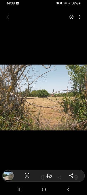 Kənd təsərrüfatı fəaliyyəti üçün geniş torpaq sahəsi. Bu sahə lalafo.az -da Kənd təsərrüfatı fəaliyyəti üçün geniş torpaq sahəsi. Bu sahə