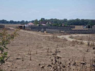 28 sot, Kənd təsərrüfatı, Kupça (Çıxarış) lalafo.az -da 28 sot, Kənd təsərrüfatı, Kupça (Çıxarış)