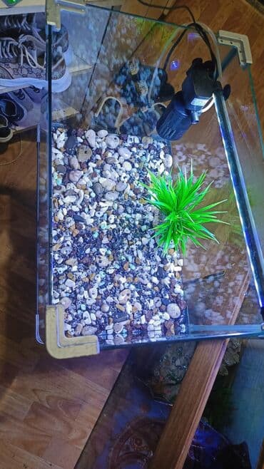 Boyu markalı zavod akvaryum filteri işıqi dekor daşlar içi dolu 45 lalafo.az -da Boyu markalı zavod akvaryum filteri işıqi dekor daşlar içi dolu 45