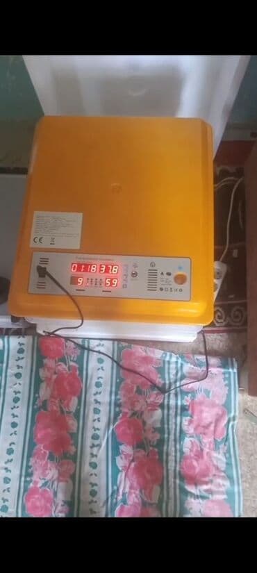 Yumurta inkubatoru – avtomatik idarəetməli model - Rəng: sarı üst lalafo.az -da Yumurta inkubatoru – avtomatik idarəetməli model - Rəng: sarı üst