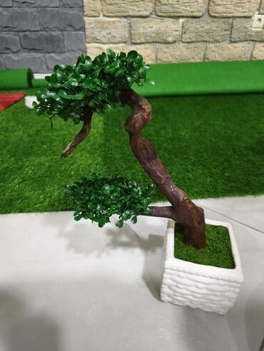 Dekorativ bonsai ağacı (süni) - Realistik görünüşlü, süni yarpaqlar lalafo.az -da Dekorativ bonsai ağacı (süni) - Realistik görünüşlü, süni yarpaqlar