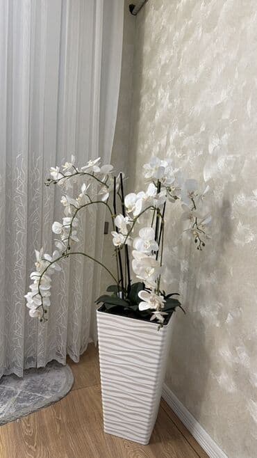 Ağ orxideya kompozisiyası .Hundurluyu 155 silikondur kapron deyil lalafo.az -da Ağ orxideya kompozisiyası .Hundurluyu 155 silikondur kapron deyil