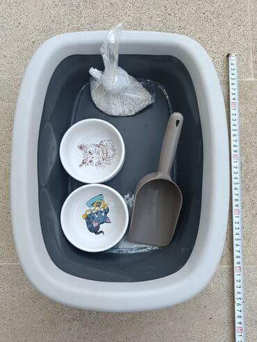 🐾 Pişik üçün tam dəst – Tualet, yemək qapları və aksesuarlar! Satışda lalafo.az -da 🐾 Pişik üçün tam dəst – Tualet, yemək qapları və aksesuarlar! Satışda