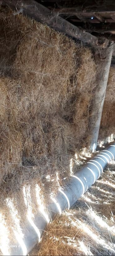 Məhsul: Quru ot (saman/yonca qarışığı görünüşlü) Təsvir: - Anbar lalafo.az -da Məhsul: Quru ot (saman/yonca qarışığı görünüşlü) Təsvir: - Anbar