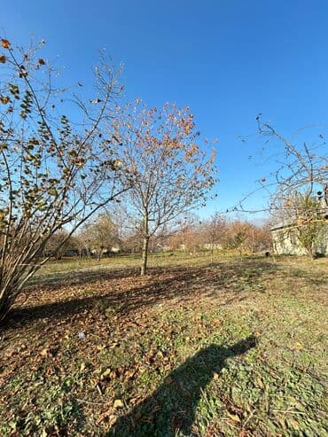 17 sot, Tikinti, Kupça (Çıxarış) lalafo.az -da 17 sot, Tikinti, Kupça (Çıxarış)