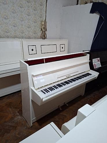 Пианино, Petrof, Акустический, Новый, Бесплатная доставка at lalafo.az Пианино, Petrof, Акустический, Новый, Бесплатная доставка