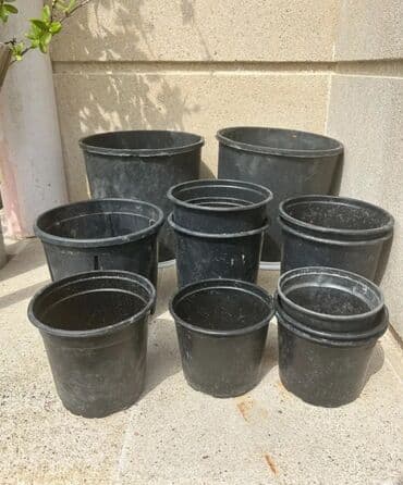 Plastik,kauçuk gül və dibçək qabları satılır. Cəmisi 60 lalafo.az -da Plastik,kauçuk gül və dibçək qabları satılır. Cəmisi 60