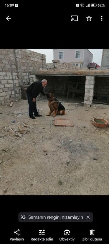 3 sot, Mülkiyyətçi, Kupça (Çıxarış) lalafo.az -da 3 sot, Mülkiyyətçi, Kupça (Çıxarış)