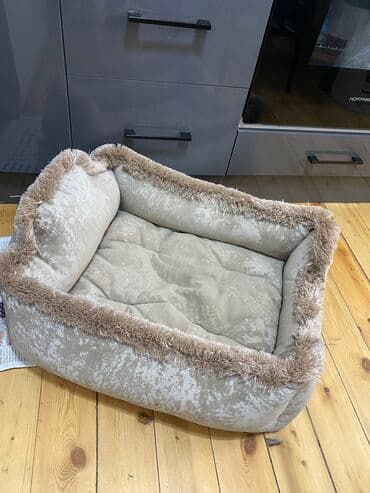 Cox gozel ve boyuk pisik it yeri sekildeki oyuncaqlari ile bir lalafo.az -da Cox gozel ve boyuk pisik it yeri sekildeki oyuncaqlari ile bir