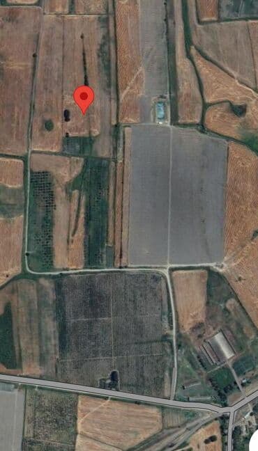 3000 sot, Kənd təsərrüfatı, Mülkiyyətçi, Kupça (Çıxarış) lalafo.az -da 3000 sot, Kənd təsərrüfatı, Mülkiyyətçi, Kupça (Çıxarış)