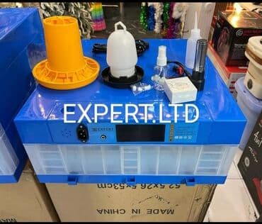 Экстракторы масла: 100 яиц, Китай, Заводское производство, Полностью автоматическая, Для всех видов птиц at lalafo.az — 1 Экстракторы масла: 100 яиц, Китай, Заводское производство, Полностью автоматическая, Для всех видов птиц — 1