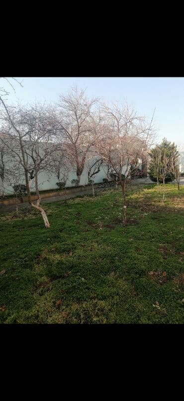 Gözəllik Salonları: Bağban, 44 yaş, 5 ildən artıq təcrübə lalafo.az -da — 6 Gözəllik Salonları: Bağban, 44 yaş, 5 ildən artıq təcrübə — 6