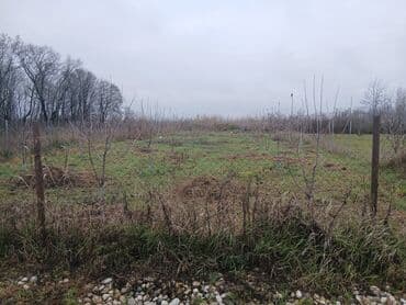 Kənd təsərrüfatı lalafo.az -da Kənd təsərrüfatı