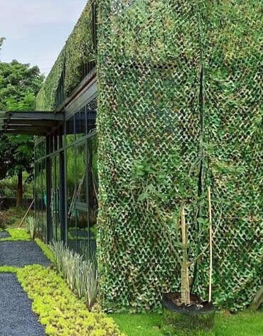 Маскировочная сеть 1.50×2м 1.50×3м 1.50×5 метров 2×3 метра Пишите на lalafo.az -da Маскировочная сеть 1.50×2м 1.50×3м 1.50×5 метров 2×3 метра Пишите на