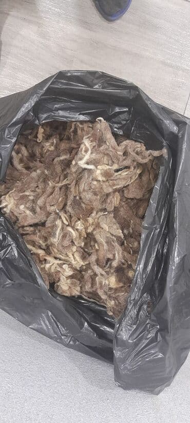 Satıram Yun 1 kq = 2 azn. wApp 0506794049 lalafo.az -da Satıram Yun 1 kq = 2 azn. wApp 0506794049