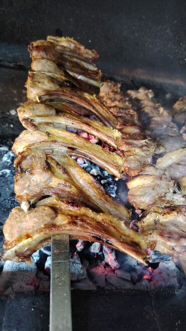 Kənd təsərrüfatı: ÜnvanımCorat . Kababçıyam+ həmdə Qəssab Kimə həm Quzu kəsib Soyan həm lalafo.az -da — 14 Kənd təsərrüfatı: ÜnvanımCorat . Kababçıyam+ həmdə Qəssab Kimə həm Quzu kəsib Soyan həm — 14