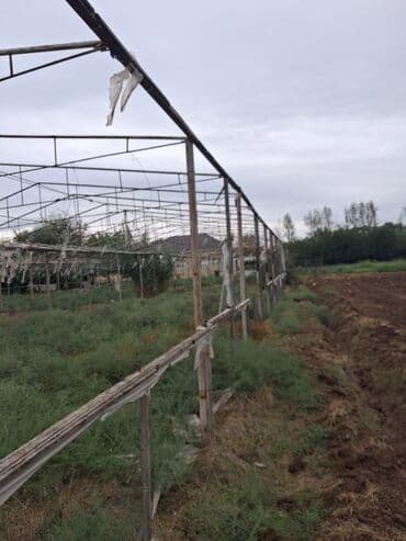 Теплицы: Sökülmüş istixana konstruksiyası - Metal karkaslı istixana çərçivəsi at lalafo.az — 2 Теплицы: Sökülmüş istixana konstruksiyası - Metal karkaslı istixana çərçivəsi — 2