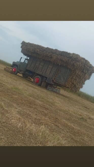 Geely: Məhsul: Presslənmiş ot balyaları (yük maşını ilə yığılmış) Təsvir: - at lalafo.az — 1 Geely: Məhsul: Presslənmiş ot balyaları (yük maşını ilə yığılmış) Təsvir: - — 1