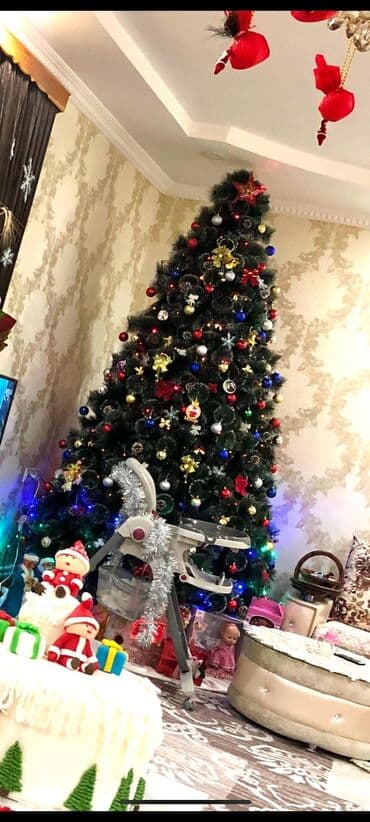 Yolka 3 metre 150 azn iqruwkasiz Afa lalafo.az -da Yolka 3 metre 150 azn iqruwkasiz Afa