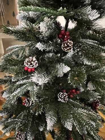 Satılır 150 sm 50 man teze kimidi hec bir problemi yoxdu əlaqə +994 lalafo.az -da Satılır 150 sm 50 man teze kimidi hec bir problemi yoxdu əlaqə +994