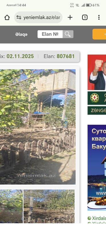 Mülkiyyətçi, Kupça (Çıxarış) lalafo.az -da Mülkiyyətçi, Kupça (Çıxarış)