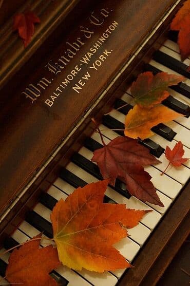 Repetitor, Azərbaycan dili, Rus dili, İmtahanlara hazırlıq, Abituriyent hazırlığı lalafo.az -da Repetitor, Azərbaycan dili, Rus dili, İmtahanlara hazırlıq, Abituriyent hazırlığı