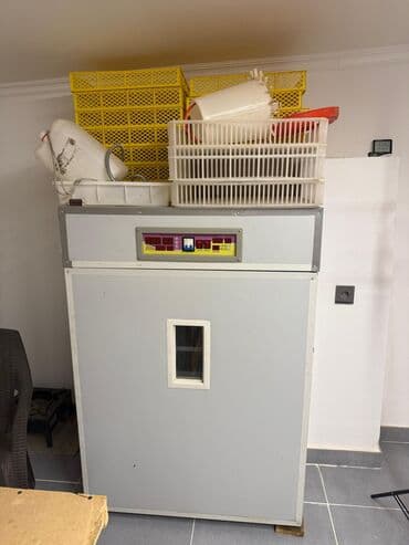 Bütün növ quşlaq üçün lalafo.az -da Bütün növ quşlaq üçün