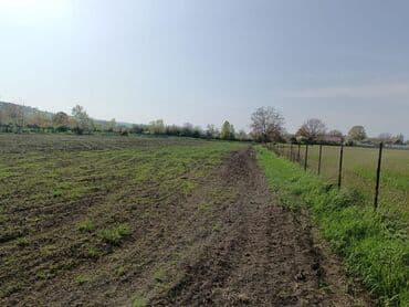 76 sot, Kənd təsərrüfatı, Mülkiyyətçi, Kupça (Çıxarış) lalafo.az -da 76 sot, Kənd təsərrüfatı, Mülkiyyətçi, Kupça (Çıxarış)