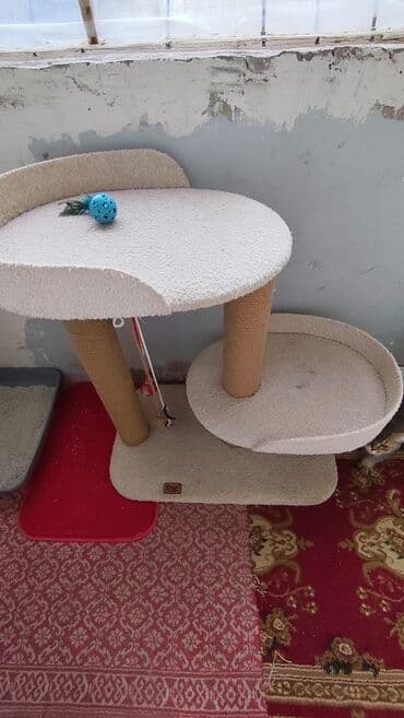 İki mərtəbəli pişik dırmaşma və dırnaq itiləmə kompleksi - lalafo.az -da İki mərtəbəli pişik dırmaşma və dırnaq itiləmə kompleksi -