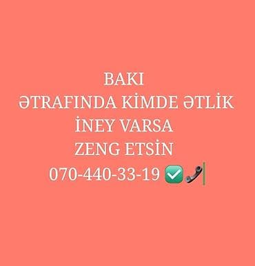Məhsul/xidmət: Ətlik inək axtarışı
🐄🐂 lalafo.az -da Məhsul/xidmət: Ətlik inək axtarışı
🐄🐂