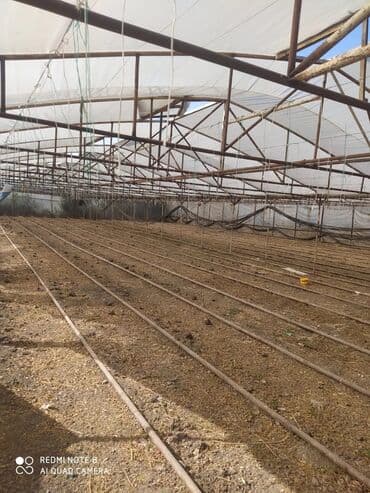 Теплицы: Sera (istixana) konstrukiyası və dam örtüyü - Metal karkaslı at lalafo.az — 1 Теплицы: Sera (istixana) konstrukiyası və dam örtüyü - Metal karkaslı — 1