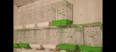 Yeni Tutuquşu qefesleri və yuvaların topdan qiymətinə pərakəndə lalafo.az -da Yeni Tutuquşu qefesleri və yuvaların topdan qiymətinə pərakəndə