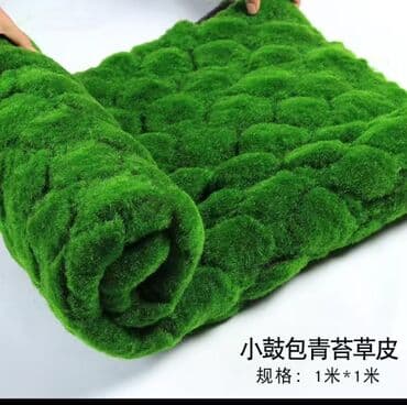 Bitki dərmanları: Məhsul: Təbiətvi̇ zolaqlı yosun/mahov örtüyü – hazır plitələr Təsvir lalafo.az -da — 12 Bitki dərmanları: Məhsul: Təbiətvi̇ zolaqlı yosun/mahov örtüyü – hazır plitələr Təsvir — 12