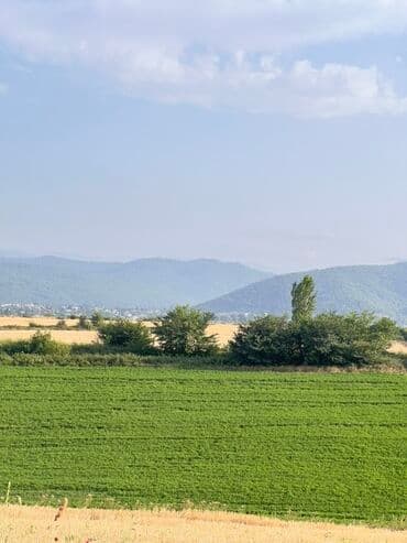 3 sot, Tikinti, Mülkiyyətçi, Kupça (Çıxarış) lalafo.az -da 3 sot, Tikinti, Mülkiyyətçi, Kupça (Çıxarış)
